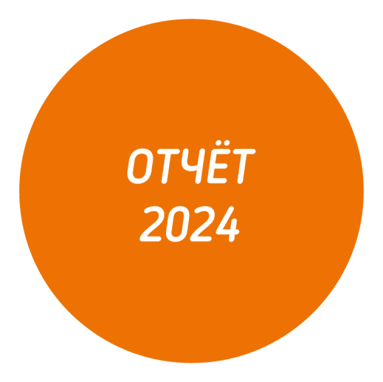 Отчёт за 2024 год