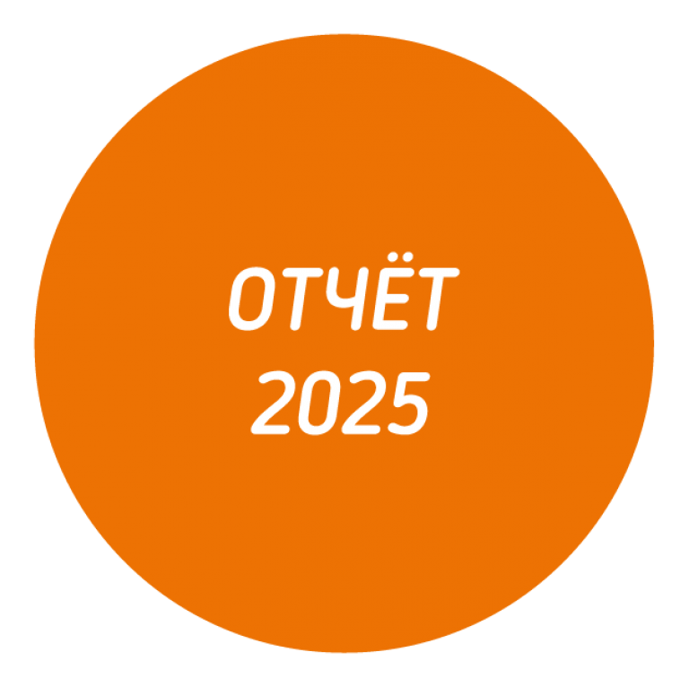 Отчёт за 2025 год