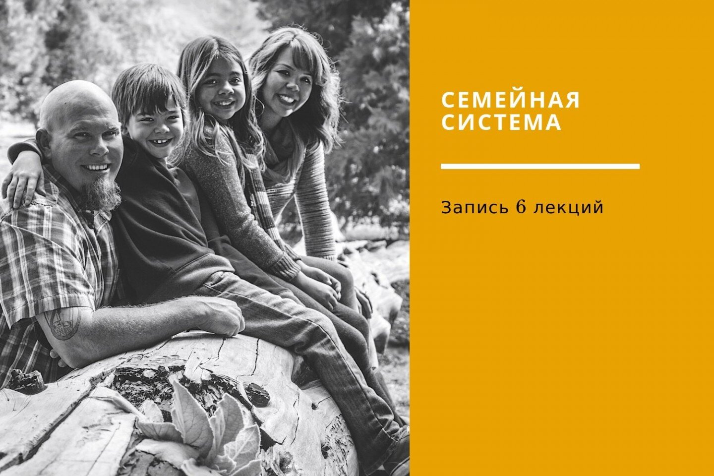 Часть I. СЕМЕЙНАЯ СИСТЕМА