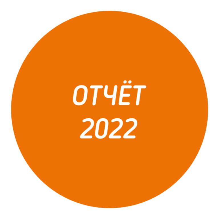 Отчёт за 2022 год